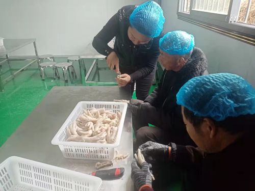 臥龍區潦河坡鎮 心中綻放幸福花兒