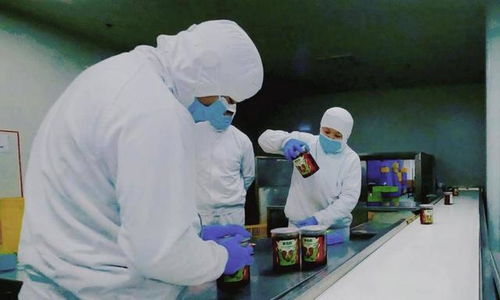 食品安全再上新臺階 叮咚買菜盱眙工廠fssc體系認證通過