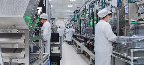 向春而行 協同一心保生產 上海這個區200余家制造業企業生產線穩定運行