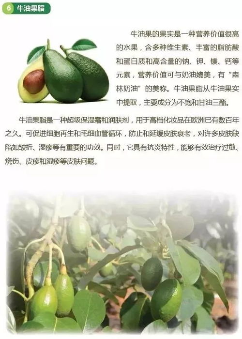 銀屑病洗護用品元宵節特惠 關愛牛皮癬患者的肌膚健康