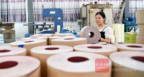 通城縣投入2.2億元建成94處微工廠破解牛皮癬難題