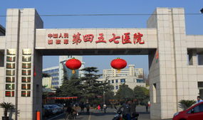 牛皮癬圖片 價格與型號規格指南