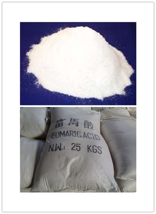 哈爾濱太明食品級富馬酸價格指南與應用解析